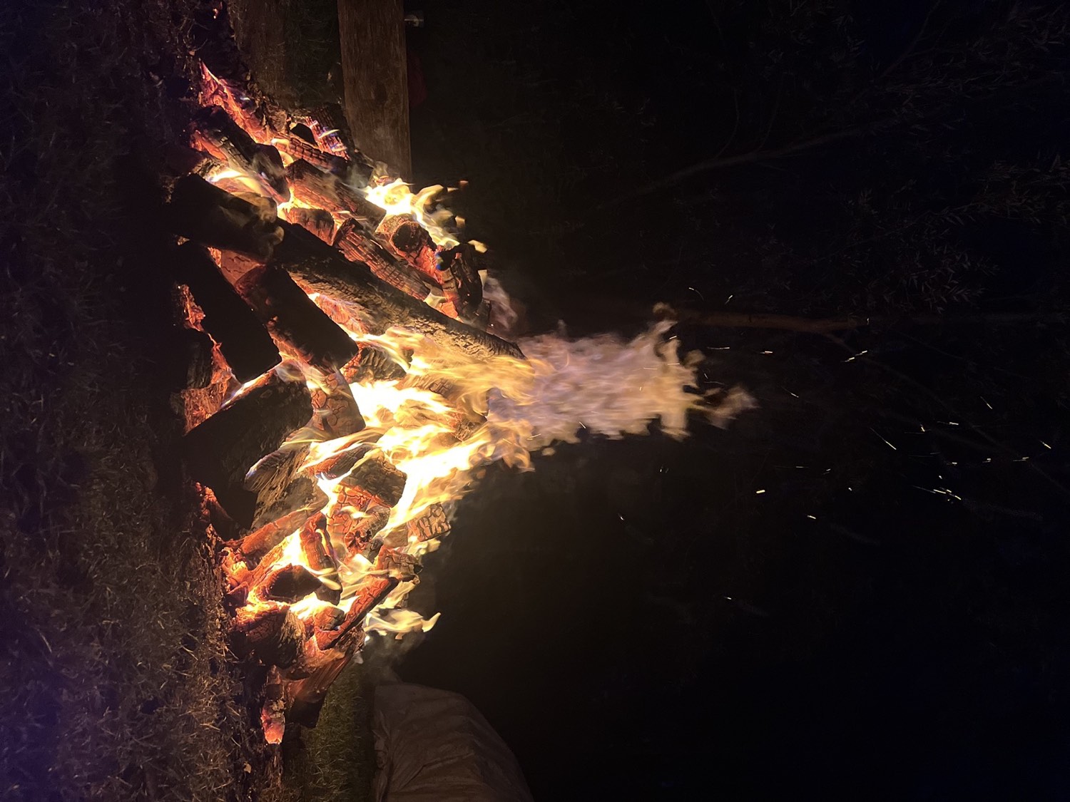 Een groot vuur in de nacht, vlammen tegen een donker bos
